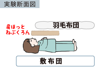 実験断面図　肩ほっとねぶくろん