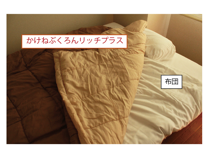画像:かけねぶくろんリッチプラス