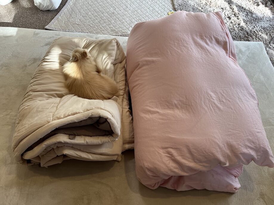 ①布団との比較