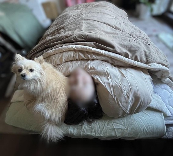 ②かけねぶくろんリッチプラス使用時