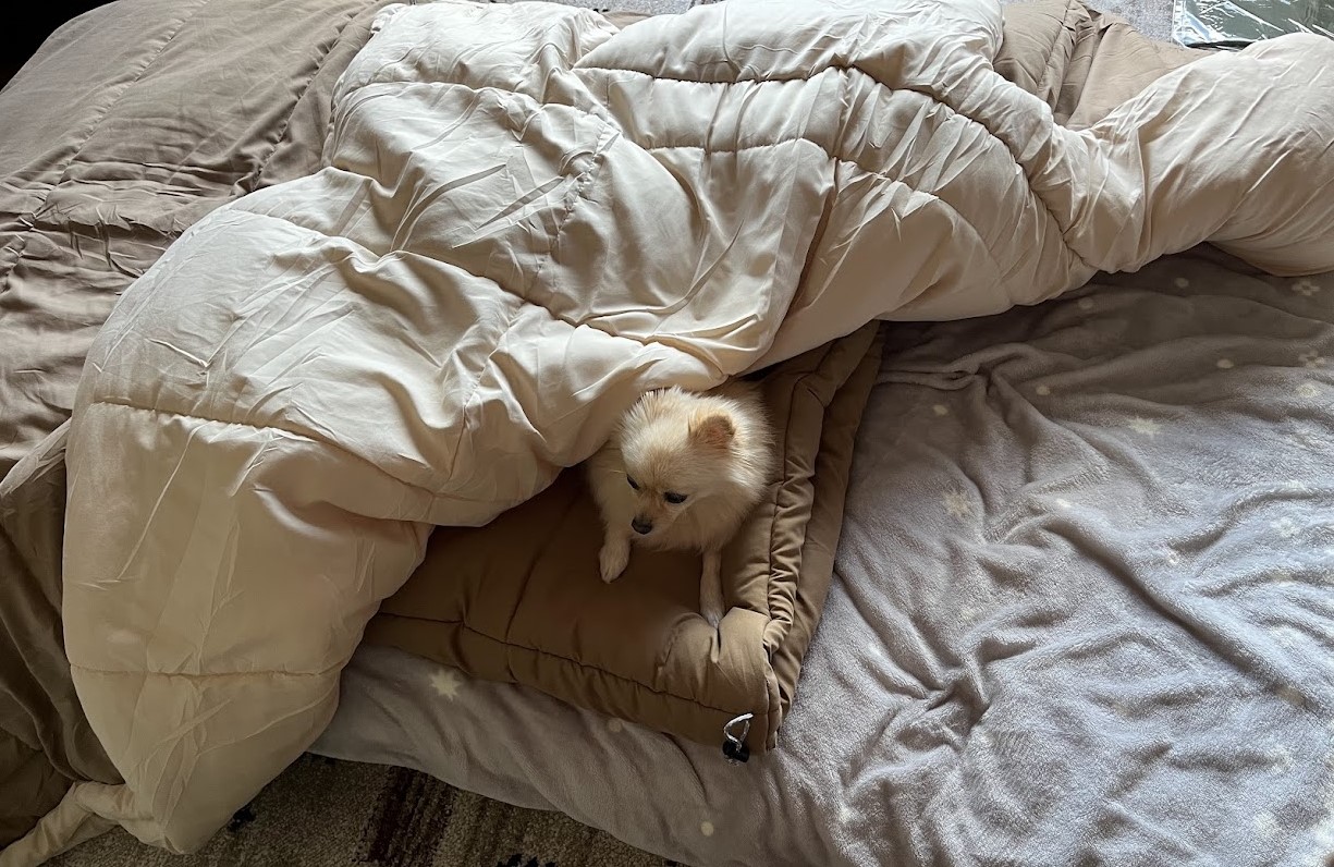 ⑧2商品を併せて使用してみた